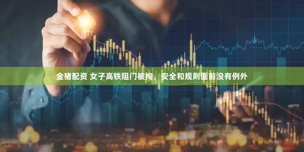 金猪配资 女子高铁阻门被拘，安全和规则面前没有例外