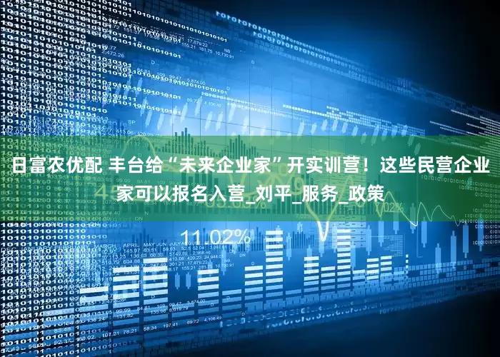 日富农优配 丰台给“未来企业家”开实训营！这些民营企业家可以报名入营_刘平_服务_政策
