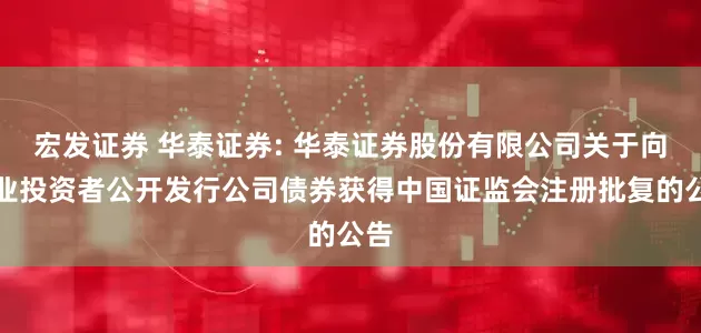 宏发证券 华泰证券: 华泰证券股份有限公司关于向专业投资者公开发行公司债券获得中国证监会注册批复的公告