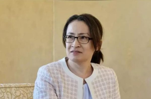 聚美策略 萧美琴扭曲事实，铺垫扩军事宜，大陆果断出手，一举掌握岛内全貌