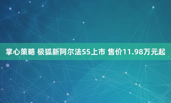 掌心策略 极狐新阿尔法S5上市 售价11.98万元起