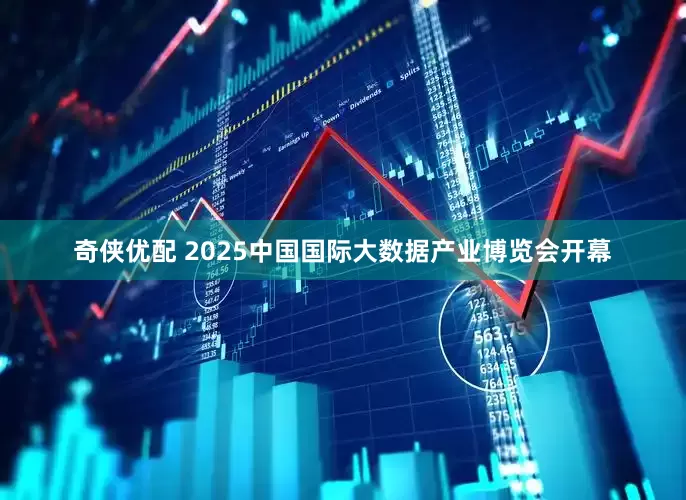 奇侠优配 2025中国国际大数据产业博览会开幕